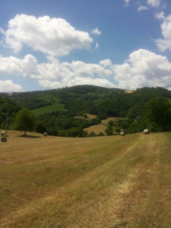 App.To Pian Del Ronco Pellegrino Parmense Exterior foto